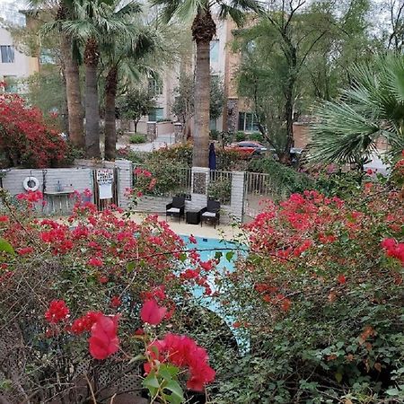 Desert Rose Villas - Private One Bedroom In Old Town Scottsdale Zewnętrze zdjęcie