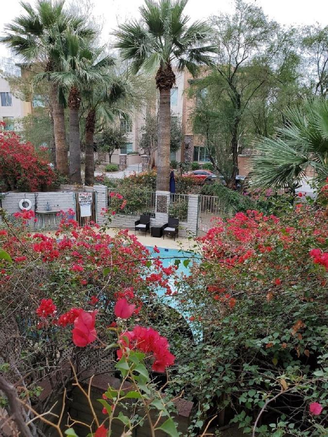 Desert Rose Villas - Private One Bedroom In Old Town Scottsdale Zewnętrze zdjęcie